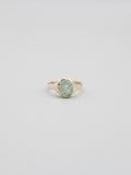 Liza Ring